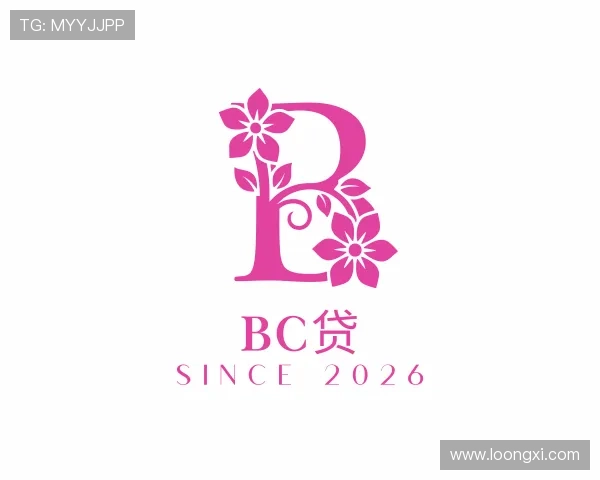 介绍bc贷